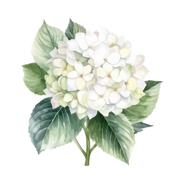手描きの植物クリップアートを使用した美しい水彩花のイラスト