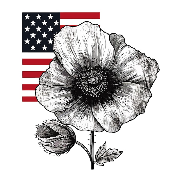 Vettore bella illustrazione ad acquerello fiore di papavero e bandiera americana