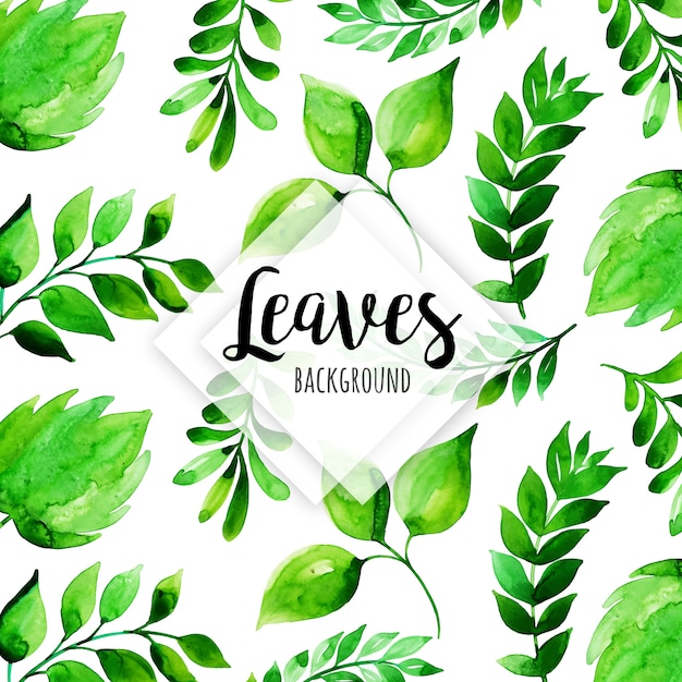 Beautiful Watercolor Leaves Pattern Background