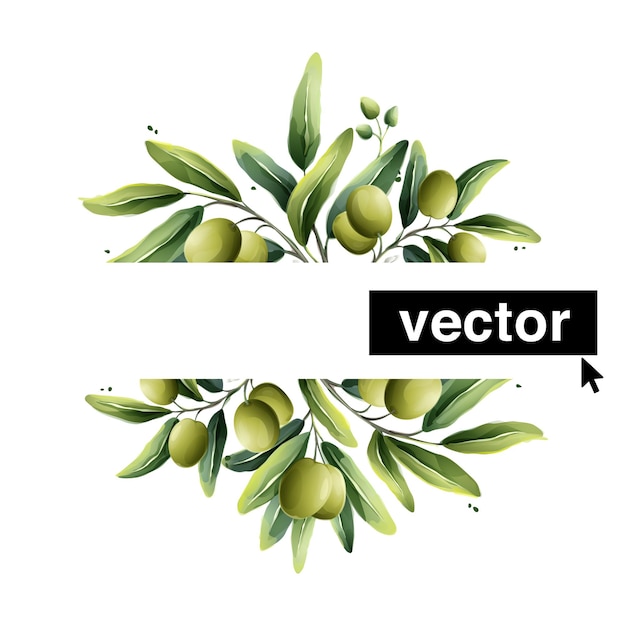 Beautiful watercolor olive premade logo template Vector illustration of Mediterranean berries