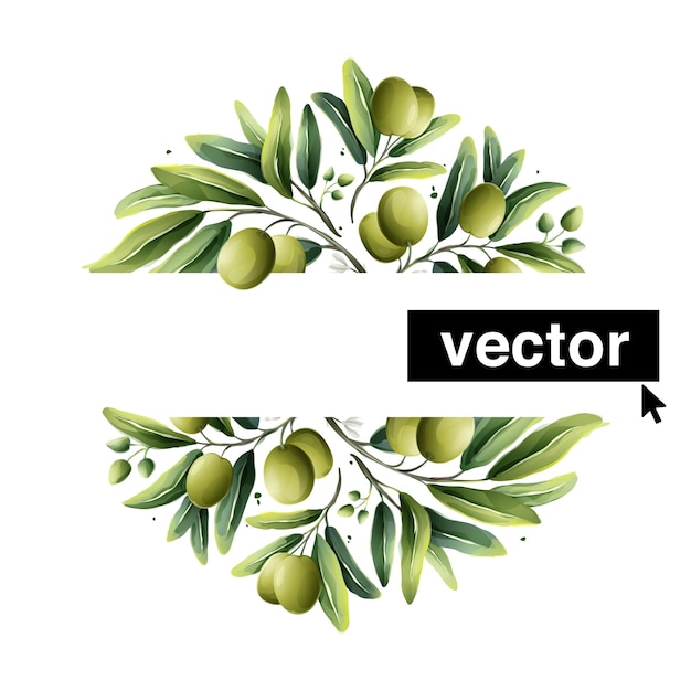 Beautiful watercolor olive premade logo template Vector illustration of Mediterranean berries