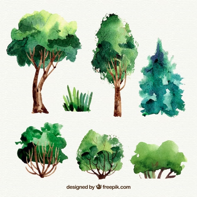 Beautiful watercolor tree collection