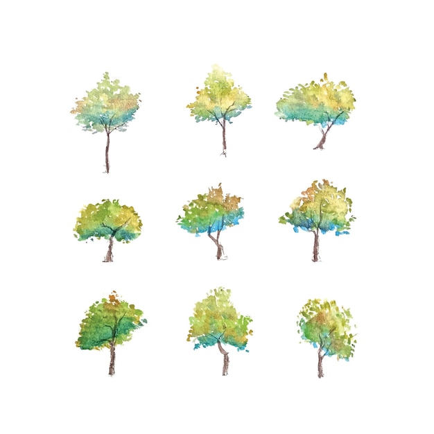 Beautiful Watercolor Tree Collection