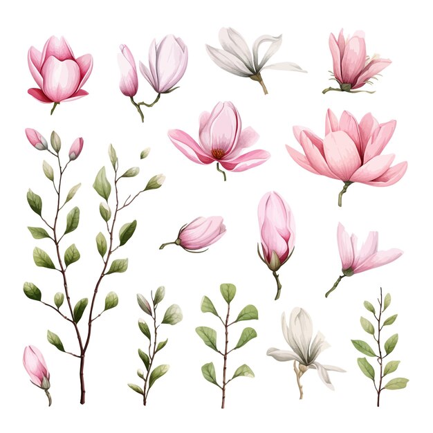 Vector beautiful watercolor tulip tree flowers clipart and leaves watercolor floral elements