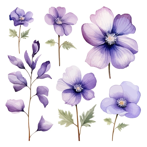 Vettore belle acquerelli fiori viola clipart e foglie acquerelli elementi floreali