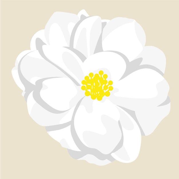 Beautiful white rose flower element vector design illustration