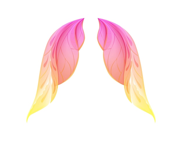 Beautiful wing concept