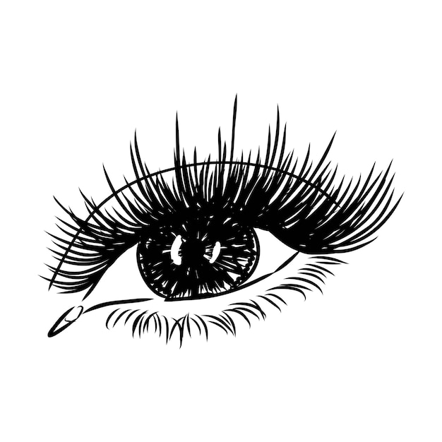 Vector beautiful woman eyes black and white drawing sketch vector fashion illustration