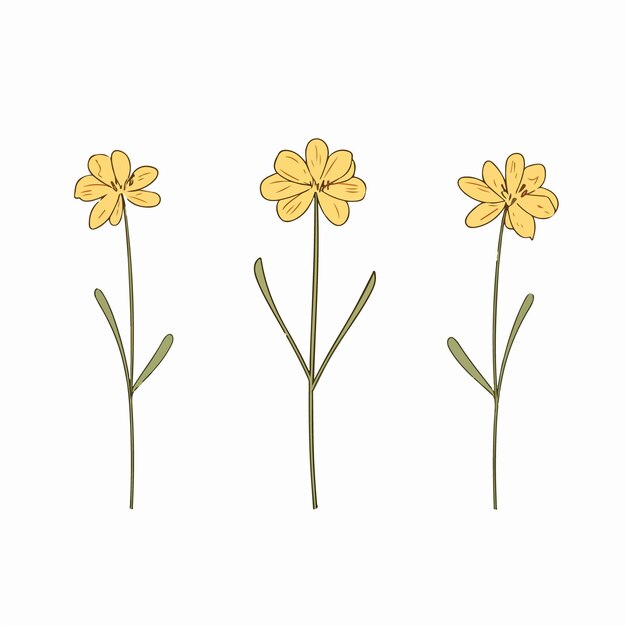 Vector beautifully crafted cowslip vector artwork