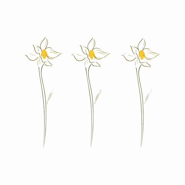 Vector beautifully crafted daffodil vector artwork