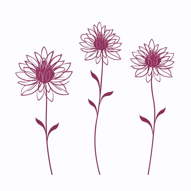 Beautifully crafted dahlia vector artwork