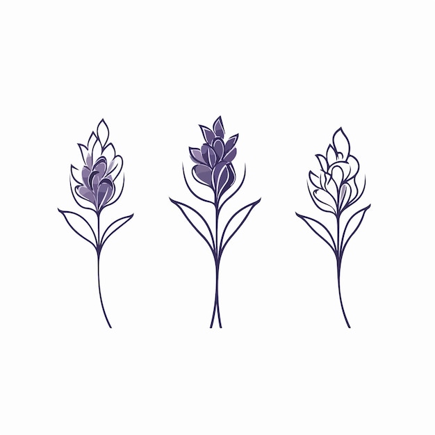 Vector beautifully detailed vector illustration of a hyacinth blossom