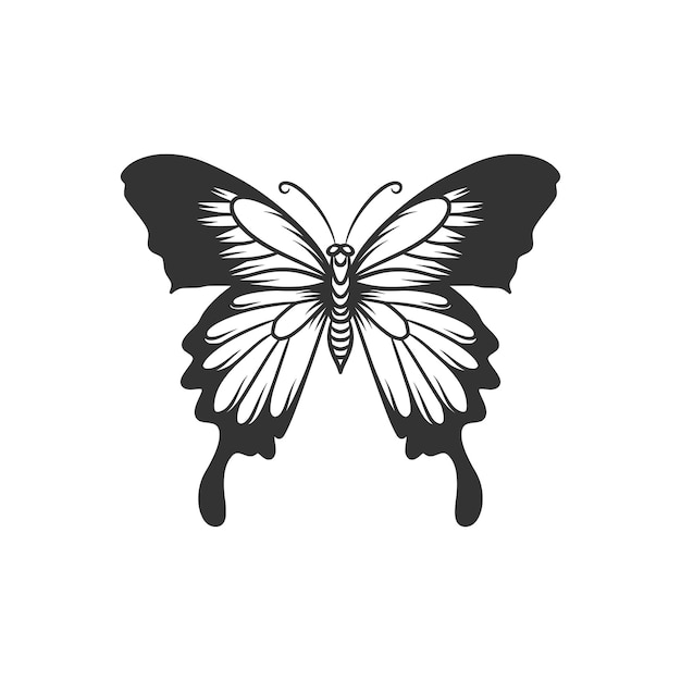 Beauty butterfly line art illustration black and white