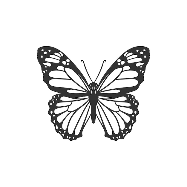 Beauty butterfly line art illustration black and white