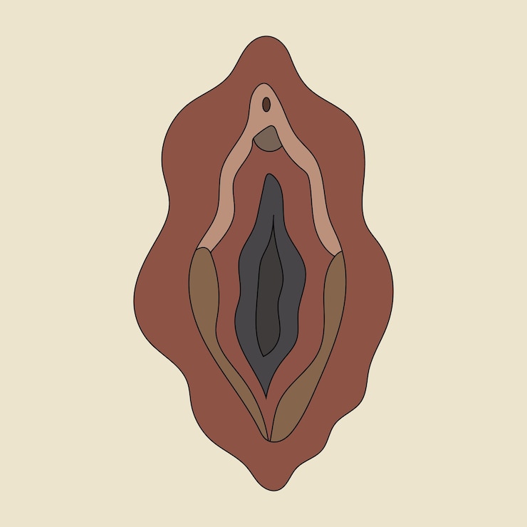 Vector beauty female reproductive system. illustrator a vagina. vector