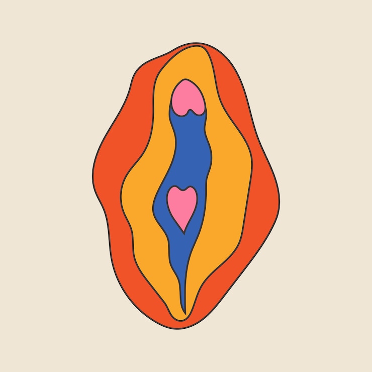 Vector beauty female reproductive system vulva illustrator a vagina