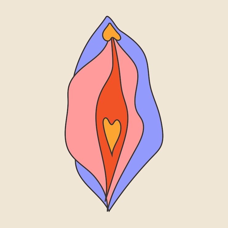 Vector beauty female reproductive system vulva illustrator a vagina