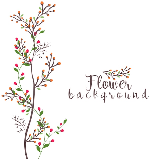 beauty flower background vector