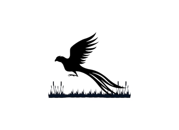 Design del logo della siluetta del fagiano volante di bellezza