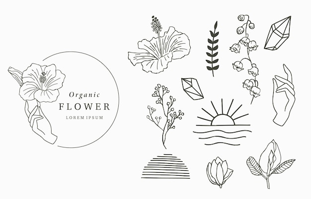 Beauty occult icon collection with handgeometricflower