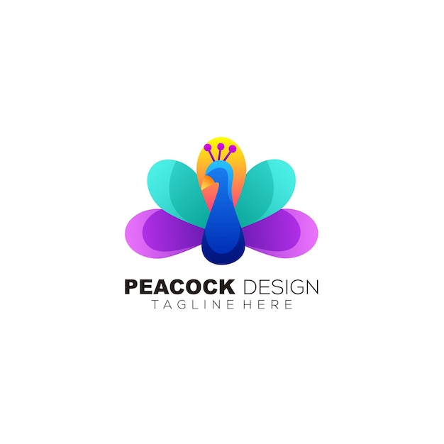 Beauty peacock logo colorful design template