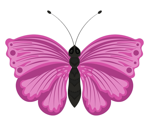 벡터 아름다움 보라색 나비 곤충 아이콘