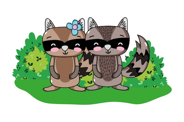 Beauty raccoon couple animal and bushes