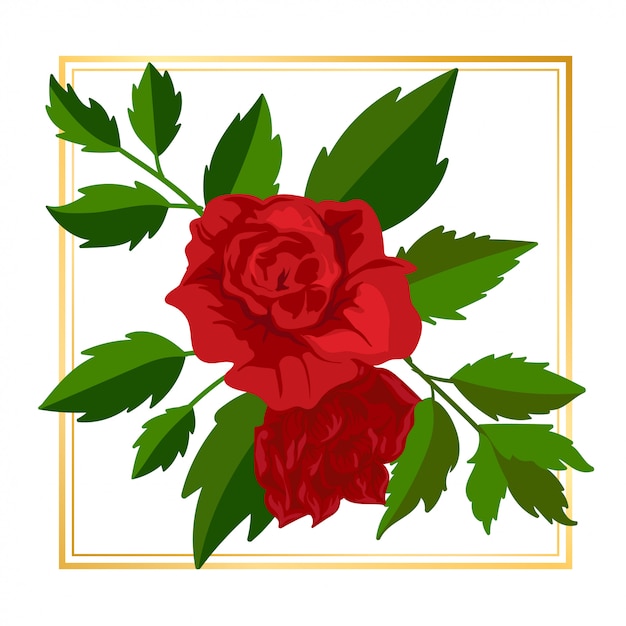 Vector beauty red rose floral flower vintage leaf nature