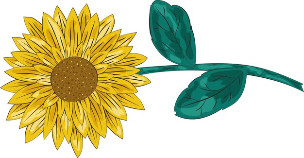 Beauty Yellow Autumn Sunflower Plant Illustration Graphic Element