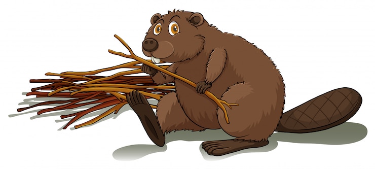 Vector beaver holding a stick
