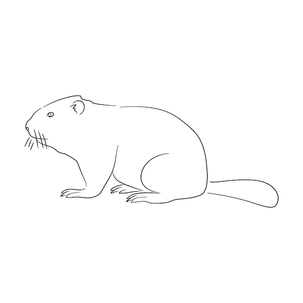 Vector beaver illustration in doodle style vector isolated on a white background