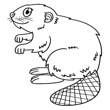 Premium Vector | Beaver isolated coloring page for kids