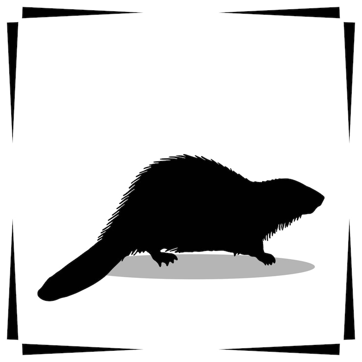 Vector beaver silhouette illustration beaver silhouette icon