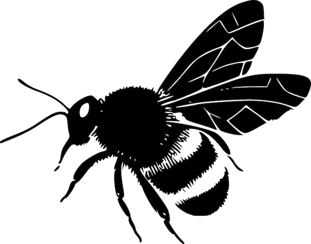 Bee Black and White Isolated Icon Vector illustration