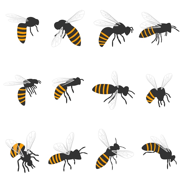 Bee cartoon set isolated on a white background.