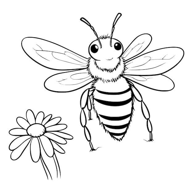 Vector bee coloring pages drawing for kids