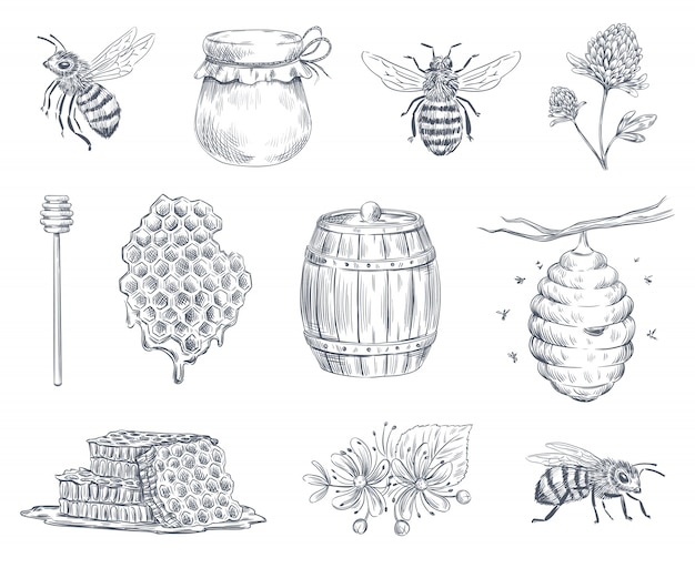 Bee gravure. Honingbijen, bijenteelt boerderij en honing honingraat vintage hand getekende illustratie set