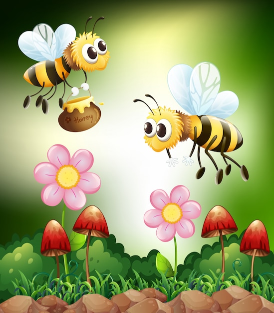 Vector bee and honey