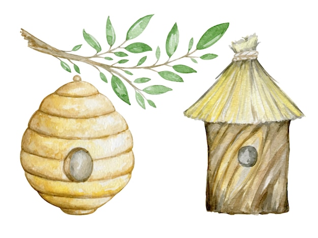 Bee house tree branch Watercolor set elements in cartoon style on an isolated background