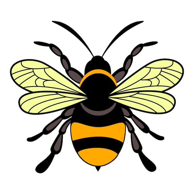 Bee illustration vector Design template. Bumblebee, Bombus, Bee. Suitable for Creative Industry,