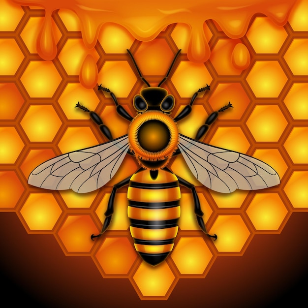 Bee illustration