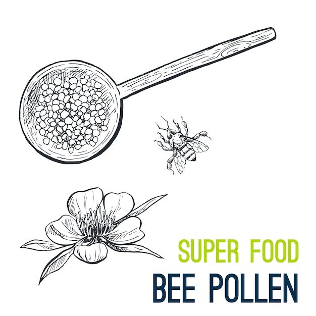 Bee pollen. super food hand drawn