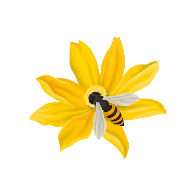 Пчелы опыляют красивый цветок летающее насекомое с черно-желтым телом плоский векторный элемент для плаката или открытки