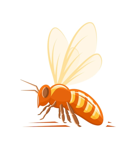 白い背景で隔離の蜂の側面図
