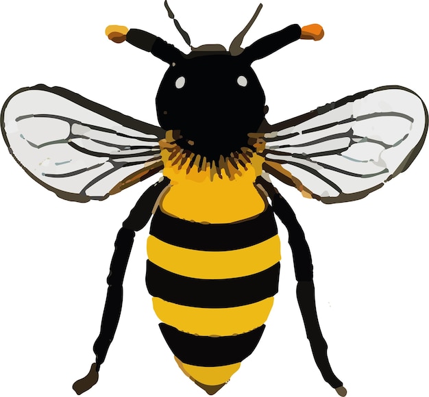 Vector bee vectors for your design