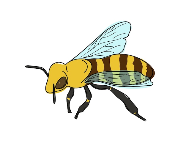 Bee or wasp close-up. Flat vector illustration