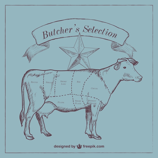 Beef cut diagram