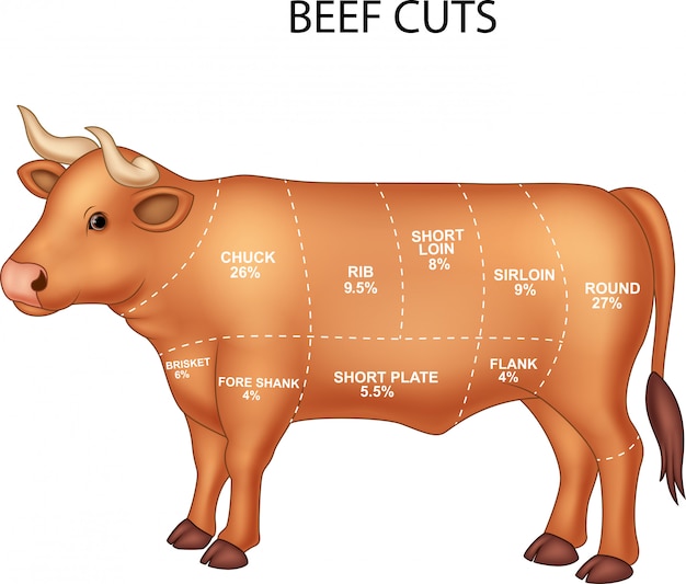 Vector beef cuts set