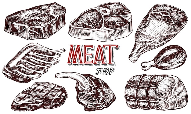 Beef meat pork steak chicken leg meatloaf bacon and ribs barbecue food in vintage style templates for restaurant menu emblems or badges hand drawn sketch