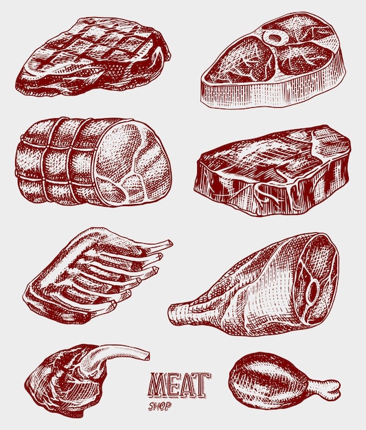 Beef meat pork steak chicken leg meatloaf bacon and ribs Barbecue food in vintage style Templates for restaurant menu emblems or badges Hand drawn sketch